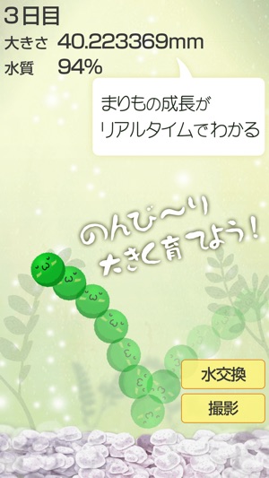 Marimo Game Free(圖3)-速報App