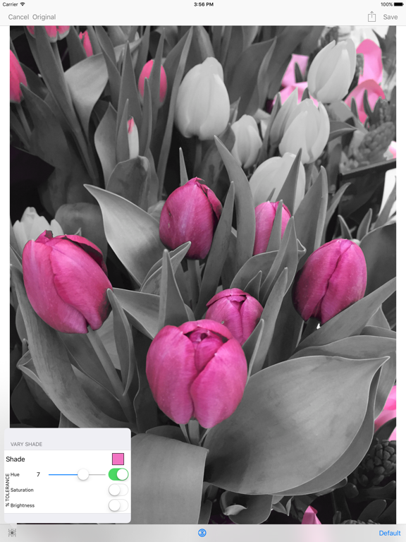 Shaded - Photo Color Modifier iPad screenshot 4 - Photo & Video app