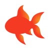 Goldfish Flashcards
