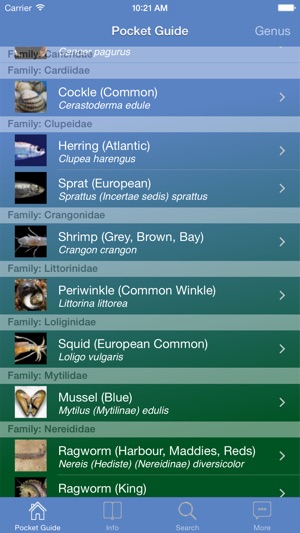 Pocket Guide UK Sea Fishing Bait