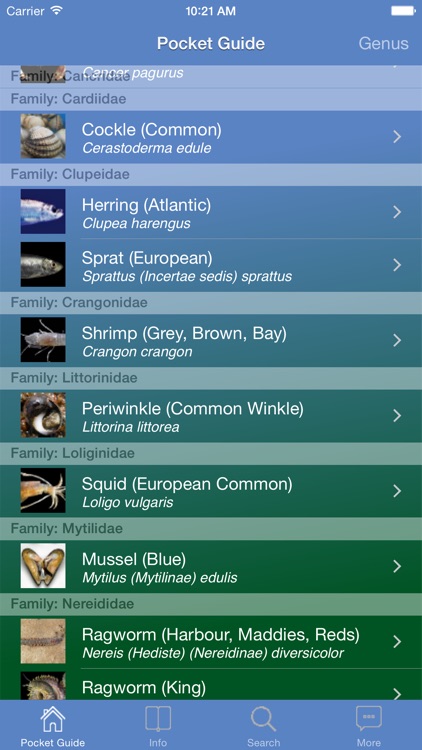 Pocket Guide UK Sea Fishing Bait