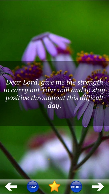 Daily Prayers & Devotionals! Pray to Jesus for Blessings of Christian and Catholic Men & Women!