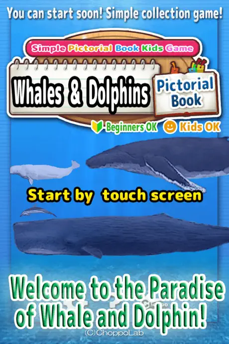 Whales & Dolphins of the World -Simple Pictorial Book Kids Game 
