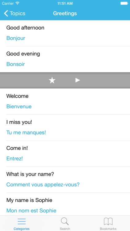 French Phrasebook: Conversational French