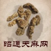 昭通天麻网