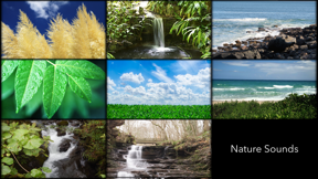 Nature Sounds FREE screenshot