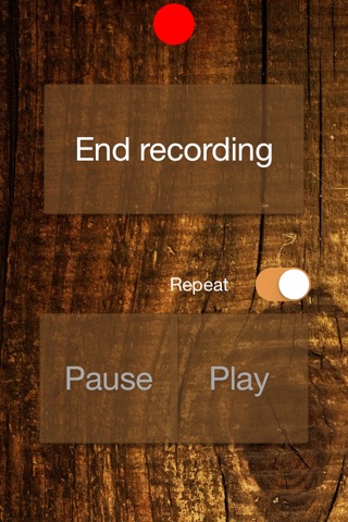 Baby Lullaby Recorder screenshot 2