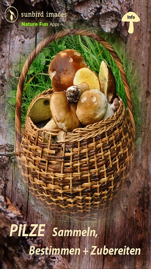 Pilze Sammeln Bestimmen Und Zubereiten Der Pilzfuhrer Fur Wald