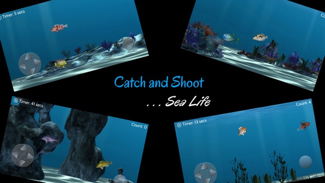 Catch N Shoot 2 Free