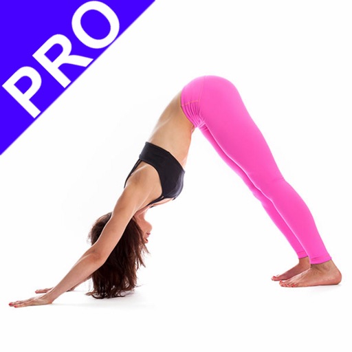 Yoga For Beginner PRO