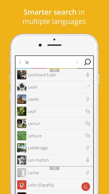 Wikiwand: Faster Wikipedia Reader