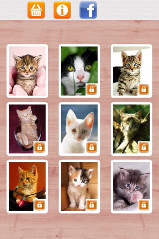 Kitten Puzzle HD screenshot 2