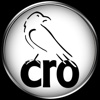 CRO For Drivers