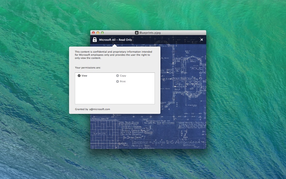 #2. RMS Sharing (macOS) 由: Microsoft Corporation