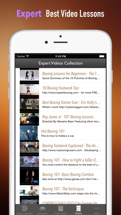 Boxing 101: Quick Learning Reference with Video Lessons and Glossary screenshot-4