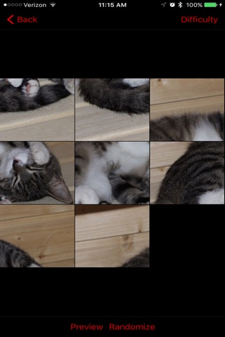 Cat Puzzles Extreme! 3 screenshot 4