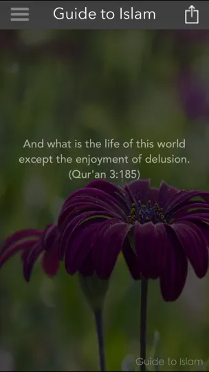 Guide To Islam iPhone-skjermbilde 1