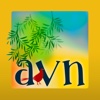 AVN