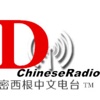 D Chinese Radio