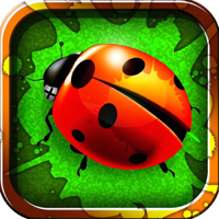 Big Bug Smash 2 - Amazing Ant Squish Crusher Man it Up Game HD