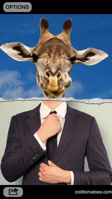 Screenshot #1 pour Mixhead