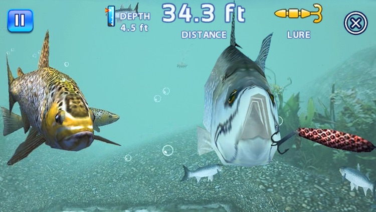Fishing Kings Free+