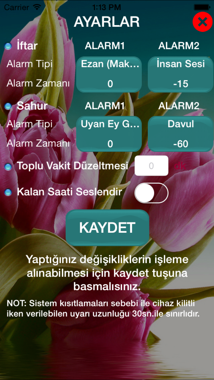 Üç Aylar screenshot 5