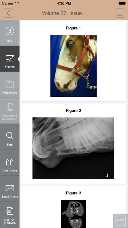 Equine Veterinary Education