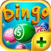 Bingo Sunday PLUS - Play Online Casino and Number Card Game for FREE !