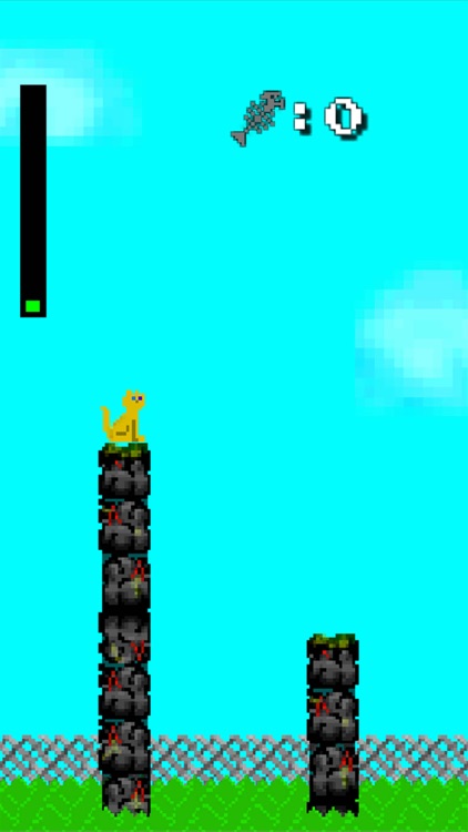 Jump Right Meow Pro!