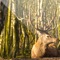 Now use the multiple sounds of the animals to attract the deer for the hunting and hunt as many deer as you can using the sounds