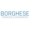 Borghese Financiën & Assurantiën