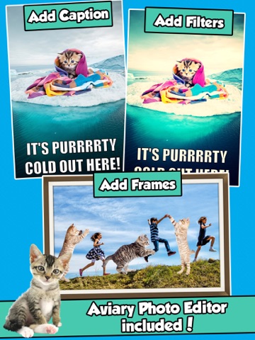 Screenshot #6 pour InstaKitty - A Funny Photo Booth Editor with Cute Kittens and Cool Cat Stickers for Your Pictures