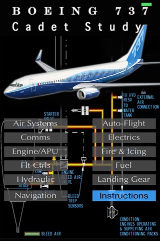 B737 Cadet screenshot 2