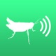 Crickets app icon - Entertainment app for iPhone