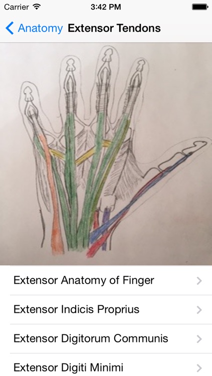 TherapyWhiz screenshot-4