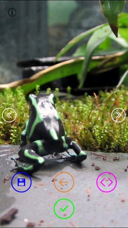 Beautiful Sea Animals and Views - Wallpapers & Slideshow HD