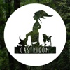 Castricom