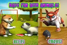 Game screenshot Cat Frenzy 3D hack