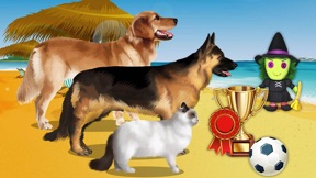 Pet Vet Doctor 2 - Dog & Cat Rescue! Animal Hospital screenshot