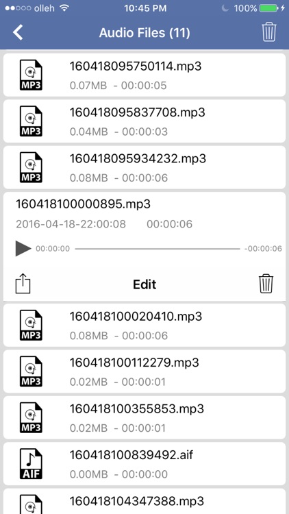 Convert Text To Audio File