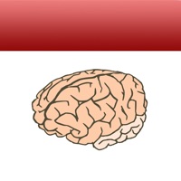 Random Fact of the Day - DailyBrain app icon - Reference app for iPhone