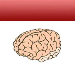 Random Fact of the Day - DailyBrain app icon