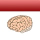 Random Fact of the Day - DailyBrain app icon - Reference app for iPhone