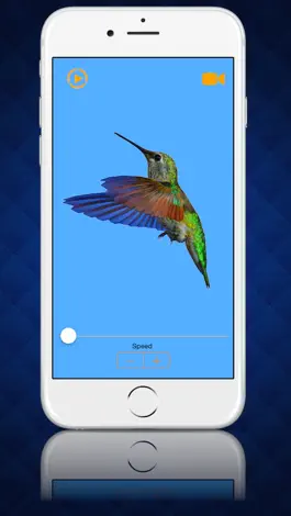 Game screenshot Play Videos in Slow Motion - Analyze your video recordings in slowmo mod apk