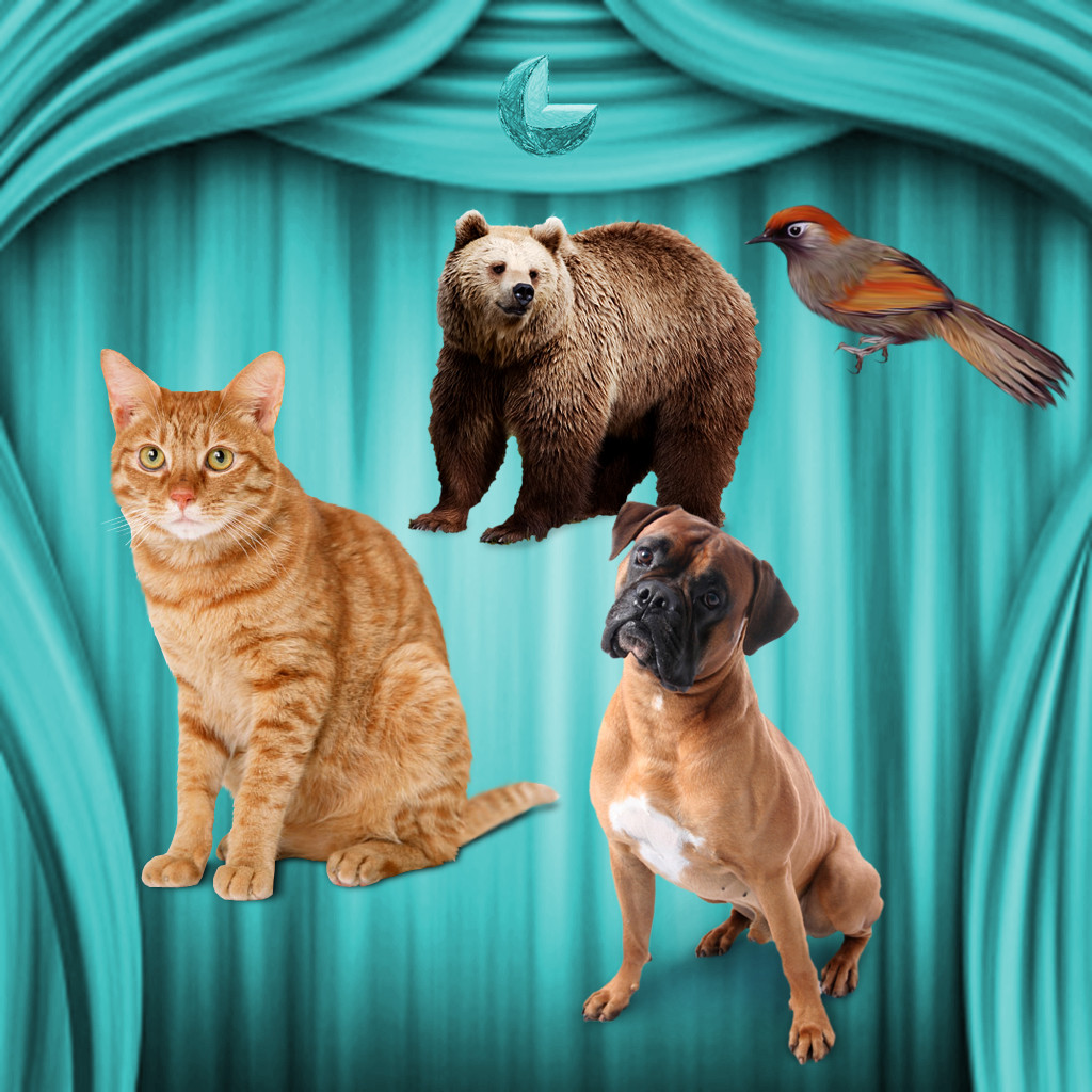 Animal Sounds Elite App Icon