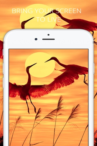 Live Wallpapers & Themes - Cool HD Backgrounds, Images and Photos for iPhone 6s and 6s Plus screenshot 3