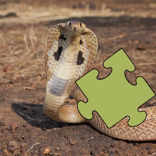 Snakes Puzzles icon