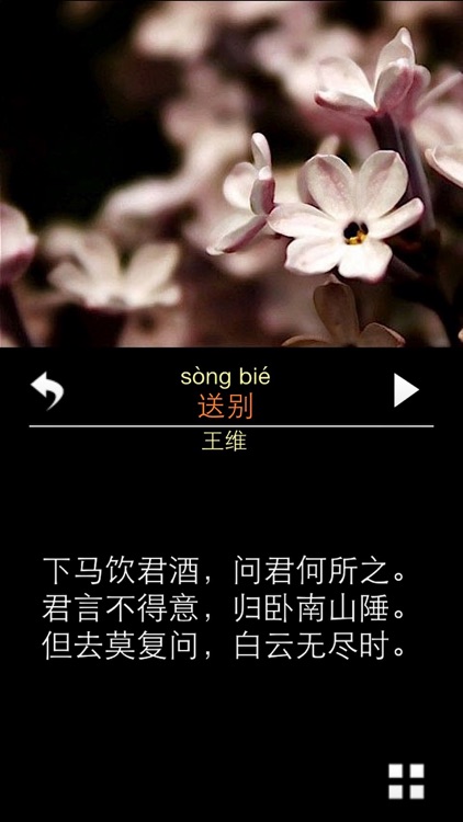 每日必听国学 唐诗300首(有声图文简约版)
