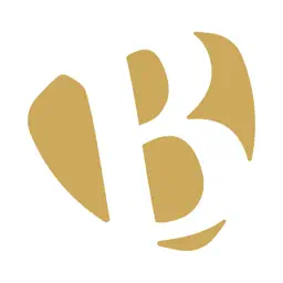 Sklep brendi.pl app icon